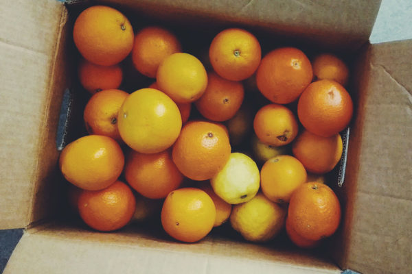 Bio-Orangen online kaufen - direkt vom Erzeuger von Mallorca Spanien versandkostenfrei von Fet a Sóller