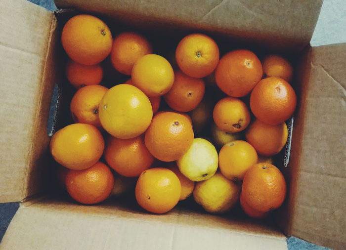 Bio-Orangen online kaufen - direkt vom Erzeuger von Mallorca Spanien versandkostenfrei von Fet a Sóller