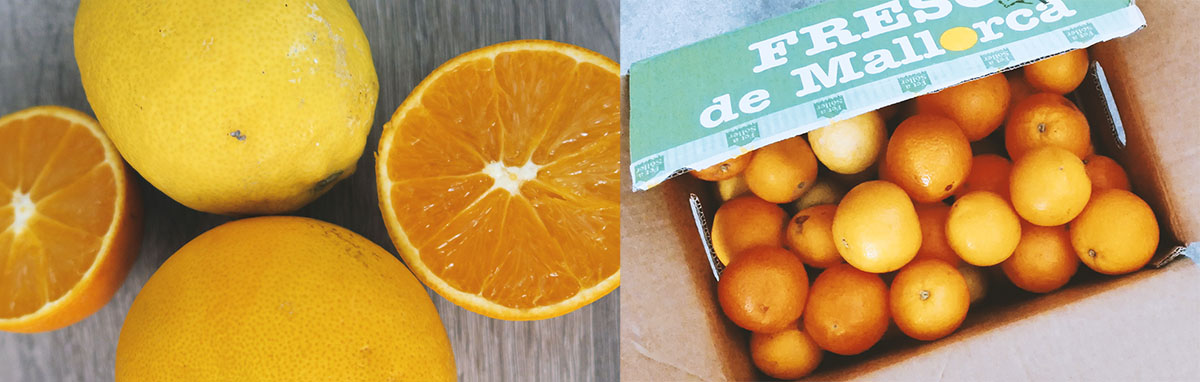 Bio Orangen günstig online bestellen - Spanien Mallorca Fet a Sóller gratis Versand