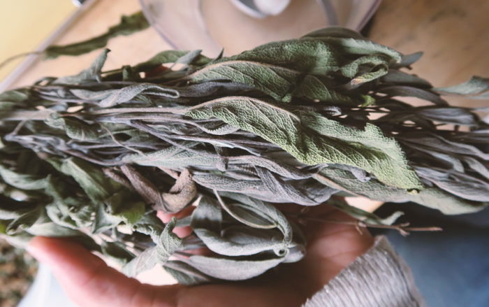 Getrockneter Salbei aus dem Garten gegen Halsschmerzen für selbstgemachte Hustenbonbons mit Ingwer und Nelken